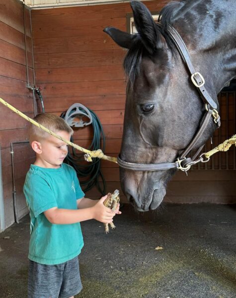 Kid Shows Turtle to Sir