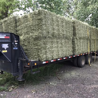 Hay Delivery G